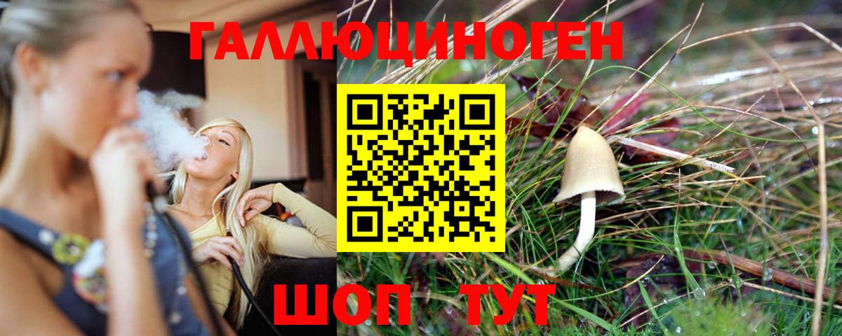 Псилоцибиновые грибы Cubensis Амурск